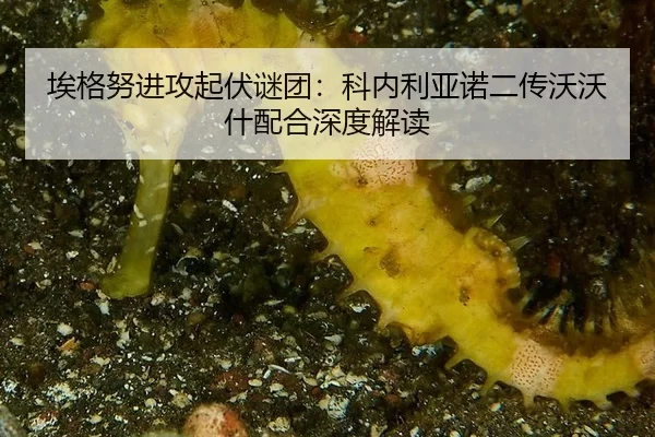 ai-ge-nu-jin-gong-qi-fu-mi-tuan-ke-nei-li-ya-nuo-er-chuan-wo-wo-shen-pei-he-shen-du-jie-du-2-104.jpg